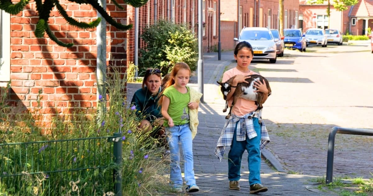 On set of Geitje voor een Karweitje
